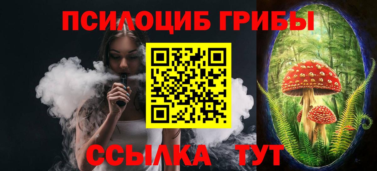 Галлюциногенные грибы Psilocybine cubensis Вичуга