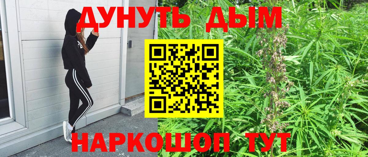 Вичуга  Бошки Шишки MAZAR  Вход с VPN  Каннабис тримм 
